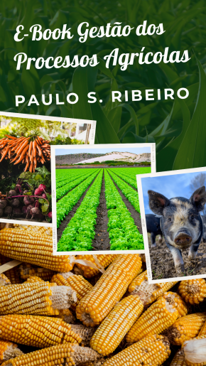 [E-Book Curso Gestão dos Processos A...]