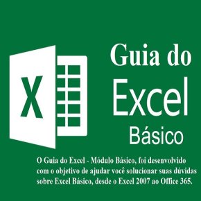 [Guia do Excel - Módulo Básico]