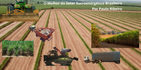 [The Best of the Brazilian Sugar-Ene...]