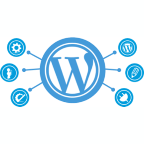 [Desenvolvimento de Sites WordPress ...]